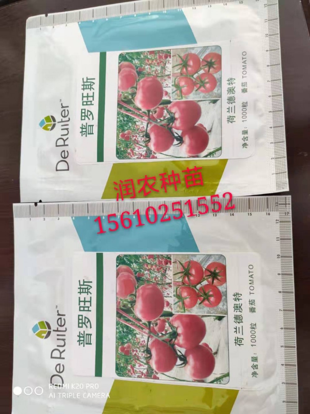 普罗旺斯