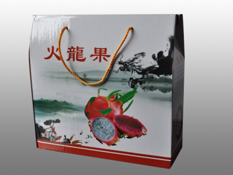 飞歌火龙果礼品盒子 火龙果礼盒包装 水果包装盒子 可定制