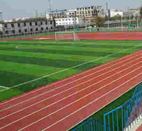 塑胶跑道 复合型塑胶跑道价格 混合型塑胶跑道材料