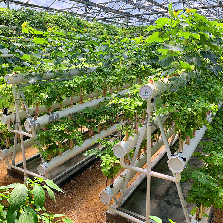 水肥一体化灌溉 无土种植 草莓立体种植槽 无土栽培厂家供货