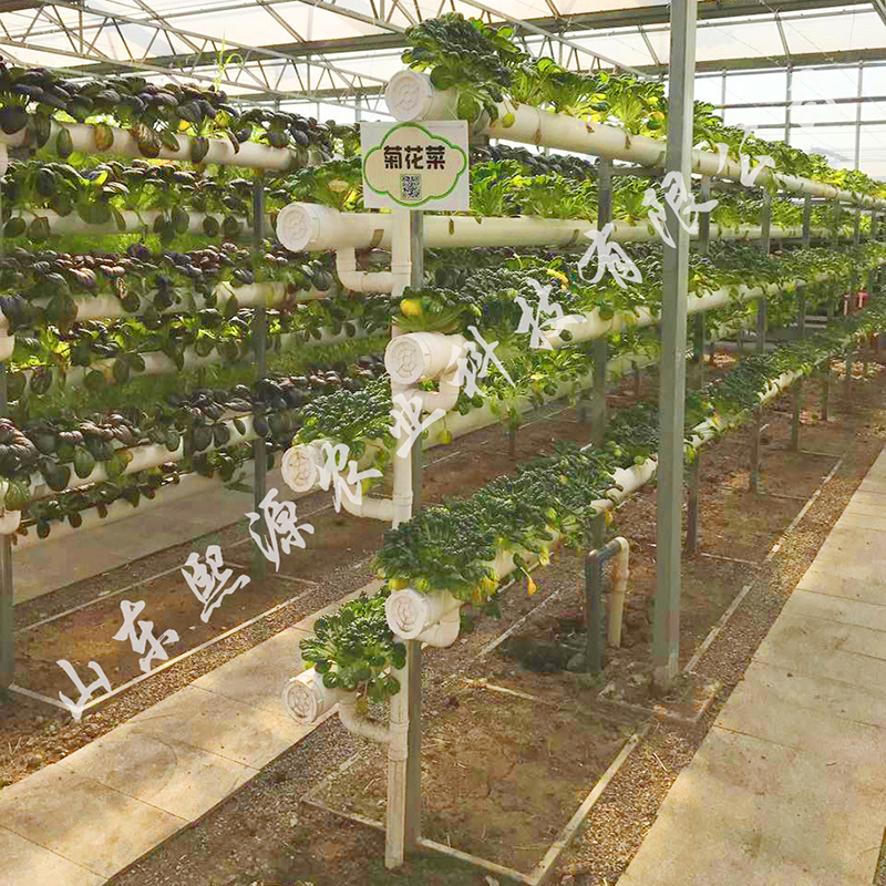 无土种植蔬菜 高产水培  营养液种植 水肥一体化灌溉设备