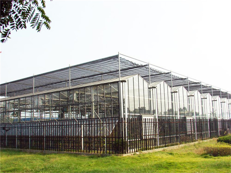 智能温室_智能温室建设_智能温室建造_山东智能温室公司 源大