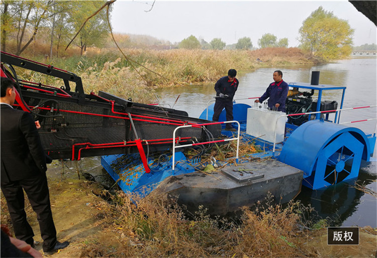 全自动水下割草船 清污船参数