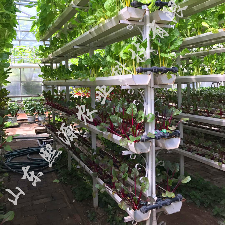 支架蔬菜种植 立体栽培 无土栽培厂家 无土栽培工程 绿化工程
