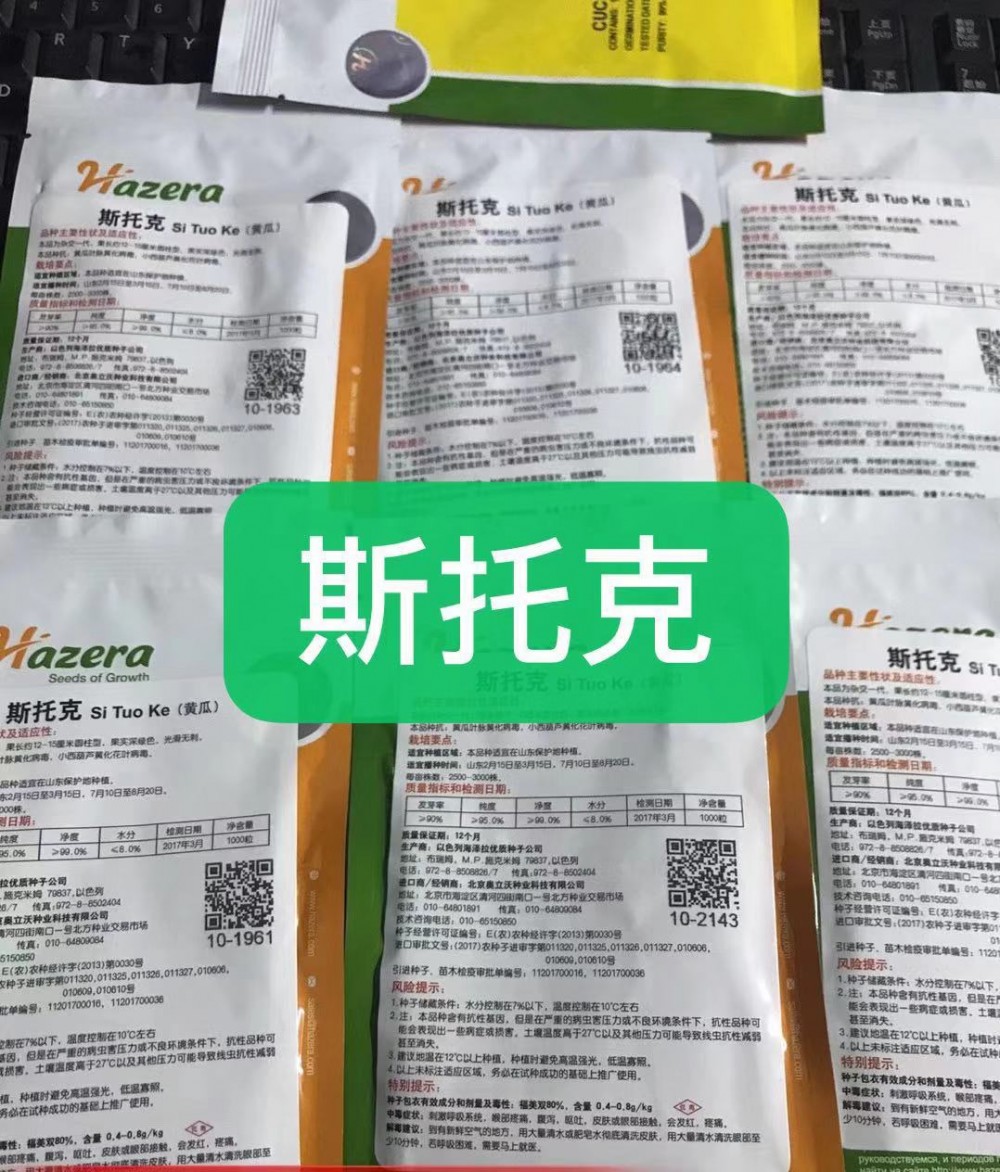 水果黄瓜小黄瓜国外品种
