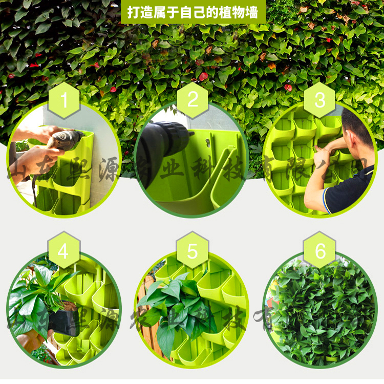 无土栽培工程 绿化隔断墙 生态墙 营养液种植  无土栽培厂家