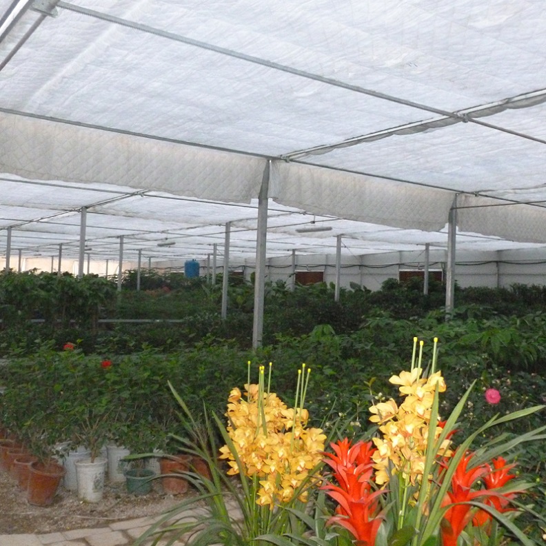 大棚建设_大棚骨架_温室大棚造价_蔬菜大棚造价青州金阳温室工程有限公司
