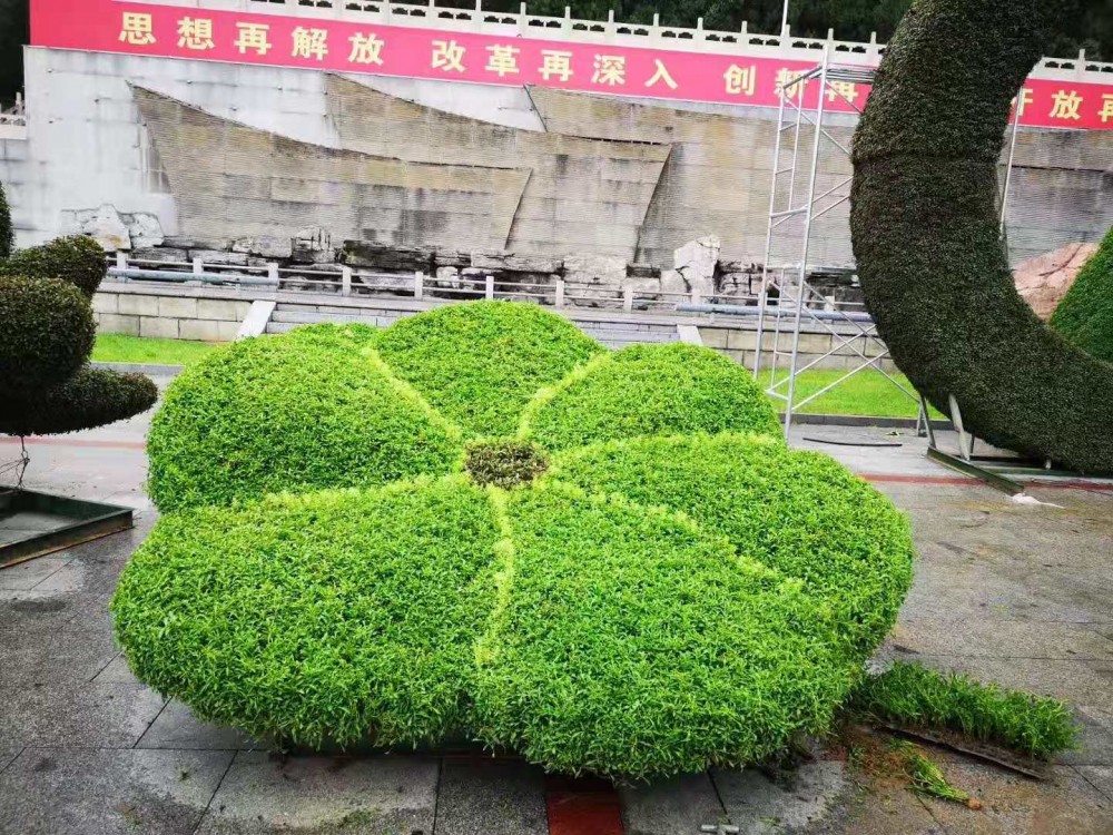 节日造型 无色草造型 花卉造型