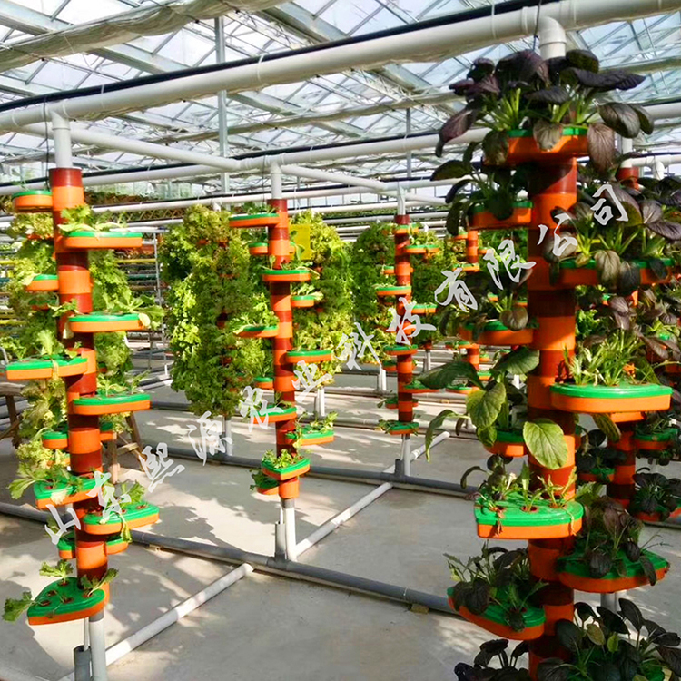 水培蔬菜技术 无土栽培 营养液厂家供应 立体种植 有机蔬菜种植