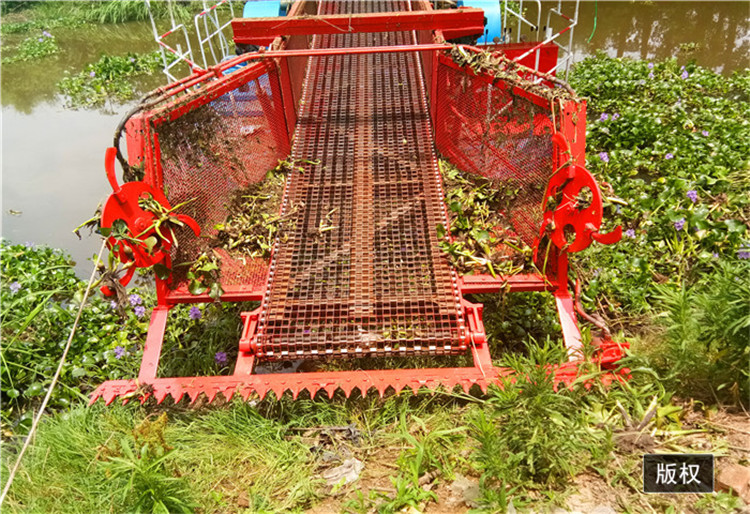 大中小型水上碎草船 水葫芦泛滥治理方案