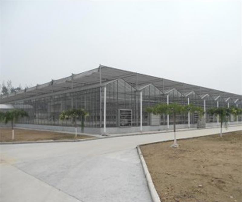 山东智能温室建造公司 智能温室大棚 温室大棚建设