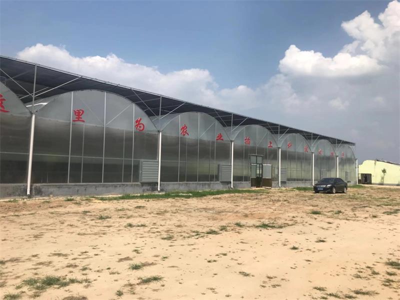 薄膜温室建设 薄膜温室建造 薄膜温室造价 源大温室