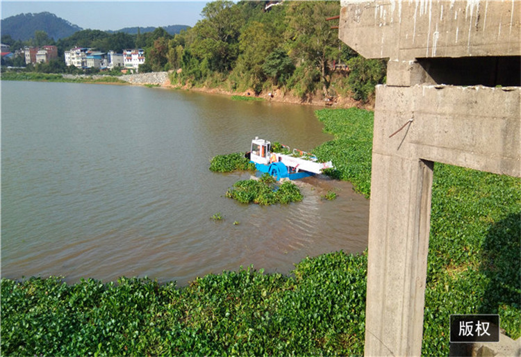 全国优质割草船货源 景区水面清理设备