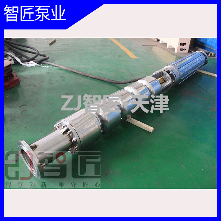 智匠泵业精铸304材质全不锈钢潜水泵 316L全不锈钢潜水泵