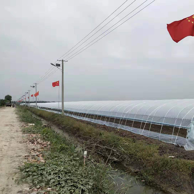 盛之翔定制蔬菜大棚骨架_蔬菜大棚 按需定制