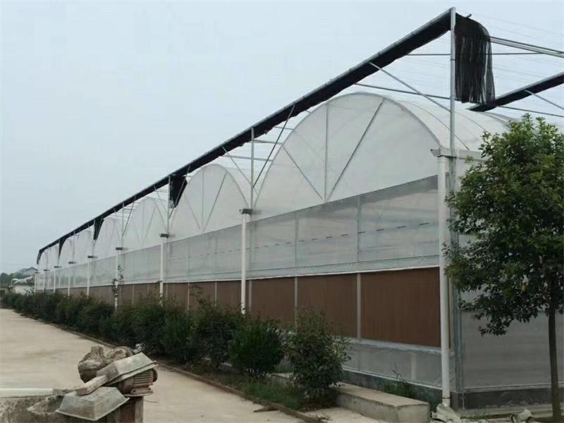 薄膜温室 薄膜连栋温室建设 薄膜连栋温室建造