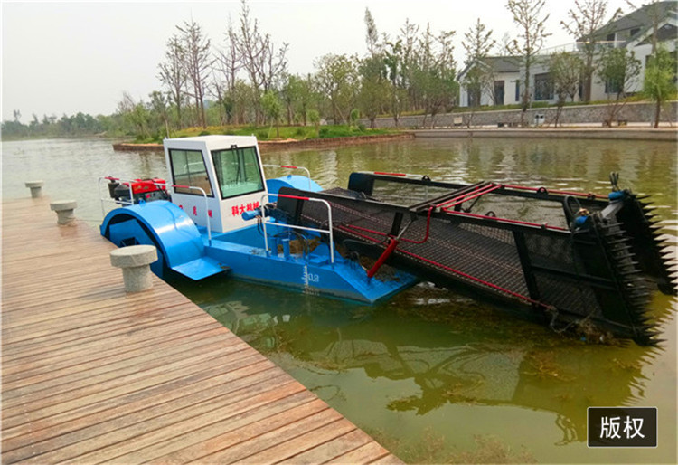 小型水上碎草船 河道水库割草船