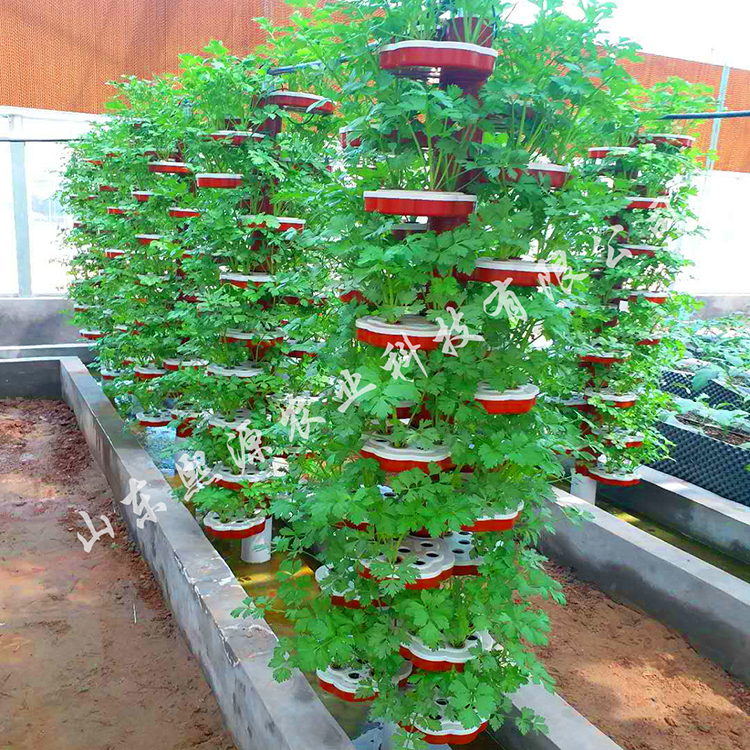 立体水培种植 蔬菜种植 无土蔬菜栽培 营养液水培种植 无土栽培厂家供应