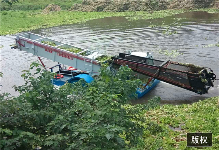 收割船生产 人工湖清污船 湖泊保洁船