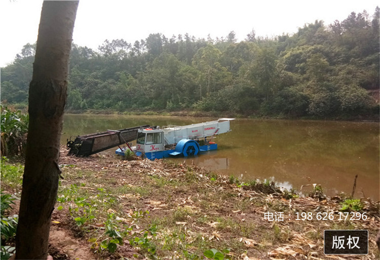 水葫芦泛滥治理 河道清理船 清漂物收割方案