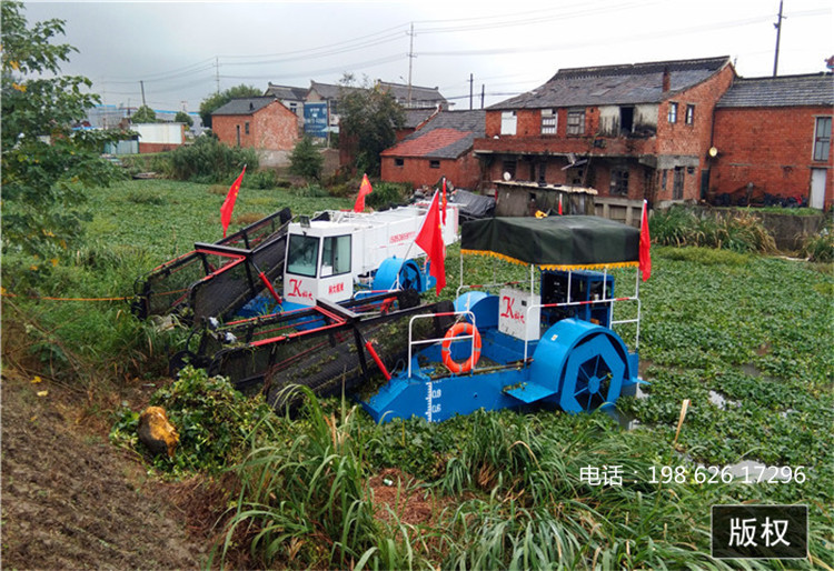河道治理 人工湖割草 收割船厂家