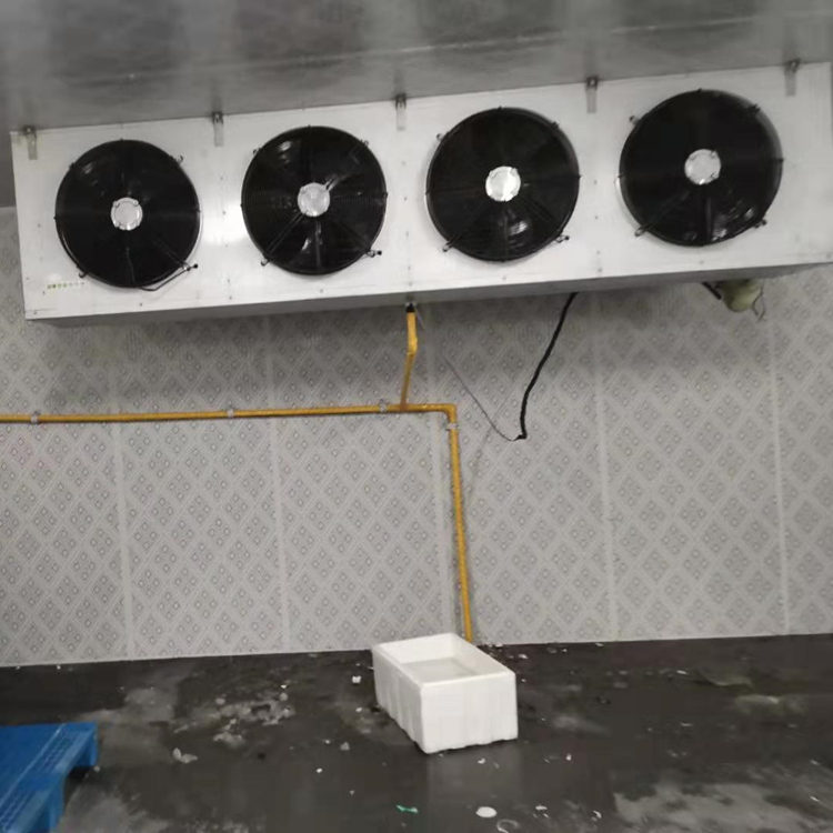 水果保鲜冷库设计 水果保鲜冷库价格 水果保鲜冷库安装 水果保鲜冷库制造 水果保鲜冷库定做