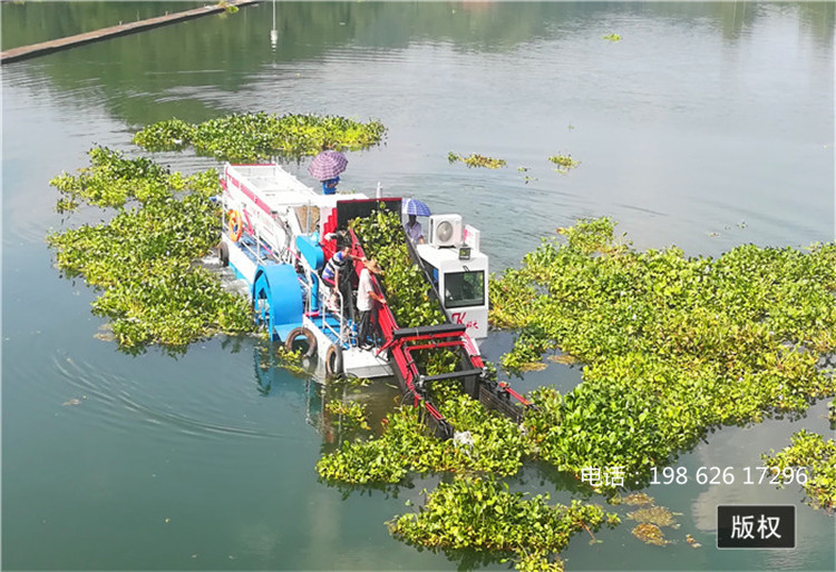 双鸭山水面清洁船厂家促销 安徽水面割草船