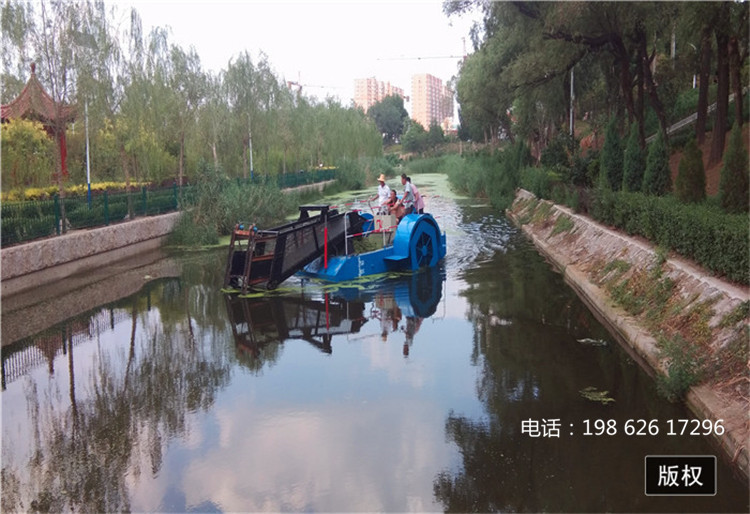 浒苔打捞清理船 水面清洁船 芦苇收割船