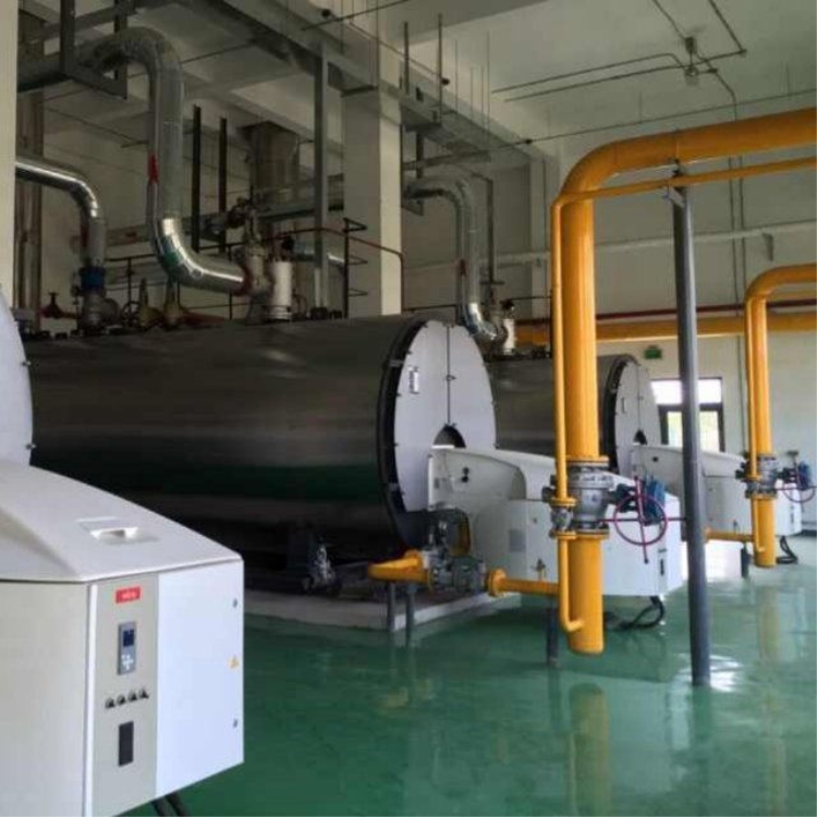 广西锅炉厂_威能广西燃气锅炉_广西餐具消毒专用蒸汽锅炉