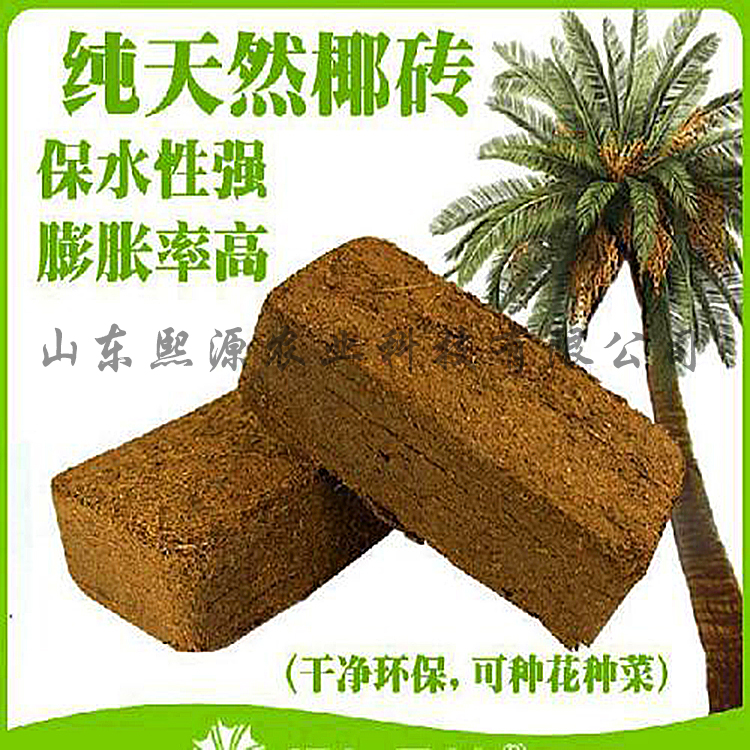 荷兰种植 西红柿种植 番茄种植 椰糠种植 基质种植 营养土种植