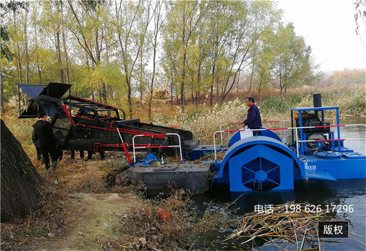 福建割草船多少钱合适 鼓浪屿水面清洁方法