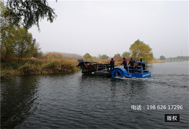 垃圾打捞 收割水草 水面清洁 保洁船 割草船 打捞船