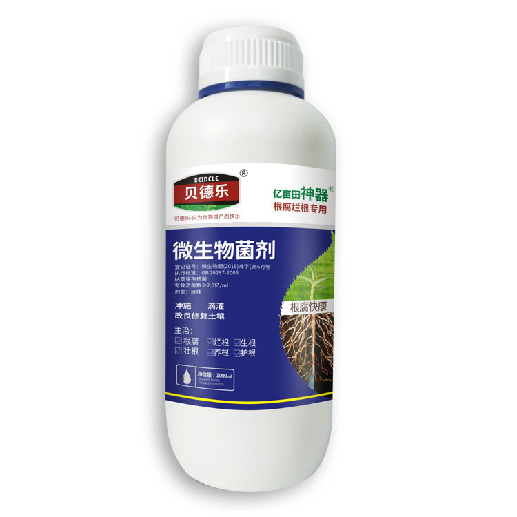中药材根腐病怎么治微生物菌剂 治疗根腐病 水溶肥 有机水溶肥