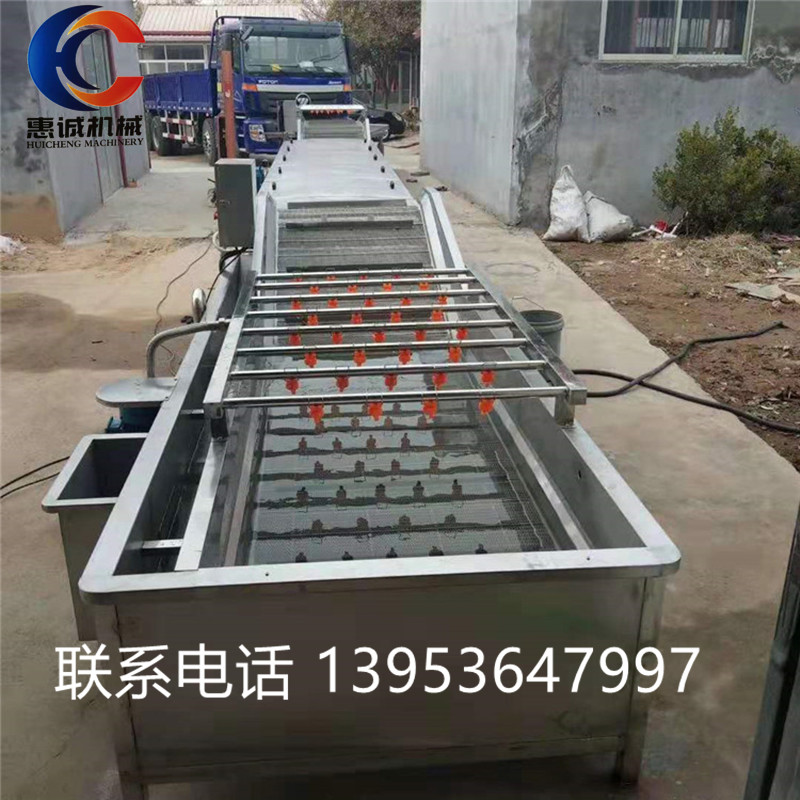 西红柿清洗机 水果蔬菜清洗机