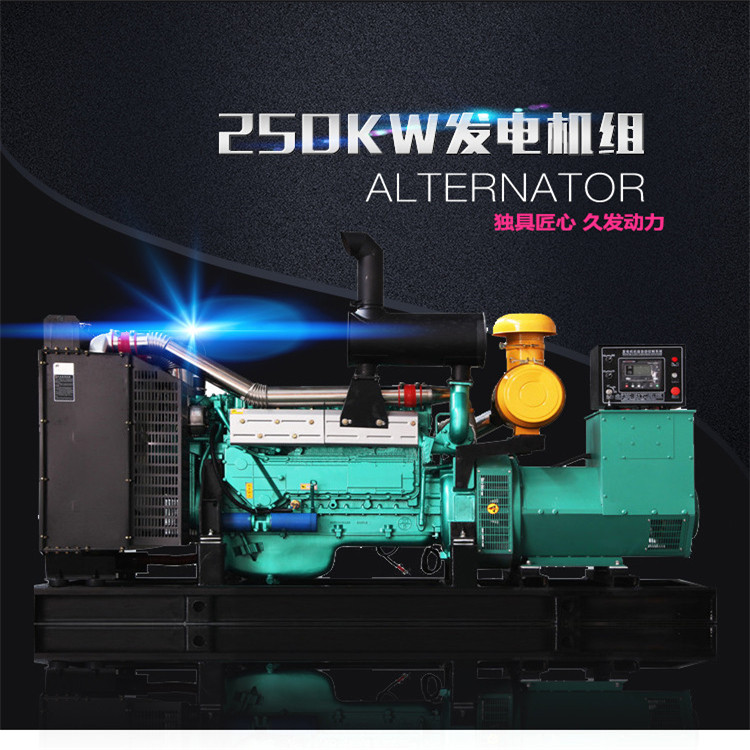 250kw柴油发电机组大型养殖工地用柴油发电机组250k
