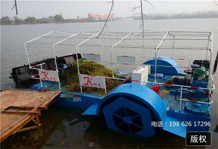 人工湖割草 南昌水草泛滥治理 南京长江上专用清理船