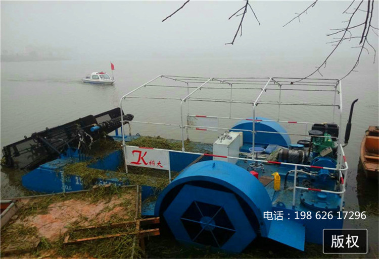 割草船旺季大促 水中收割芦苇机 江西上饶水面保洁船