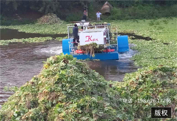 多功能保洁船 浙江景区清理船 水葫芦治理船