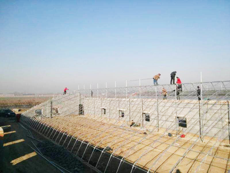 山东玻璃温室承建 智能温室造价 金江