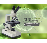 双目光学显微镜 高倍超清光学显微镜 凤凰教学演示光学显微镜