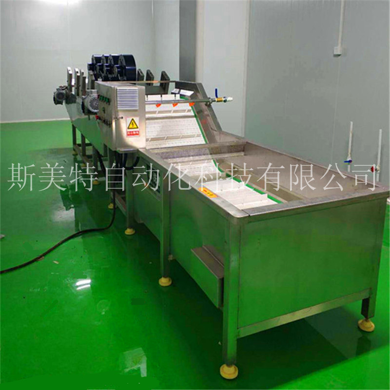 蔬菜清洗机 全自动洗菜流水线 气泡式清洗机 果蔬清洗机商用