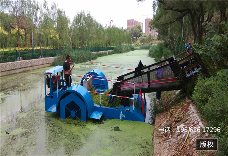 割草船 批发供应割草船 多功能新型船 湖泊割草船