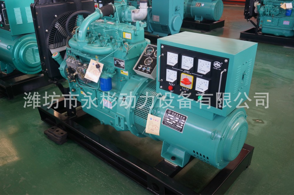 40kw柴油发电机组养殖用纯铜有刷柴油发电机组40kw