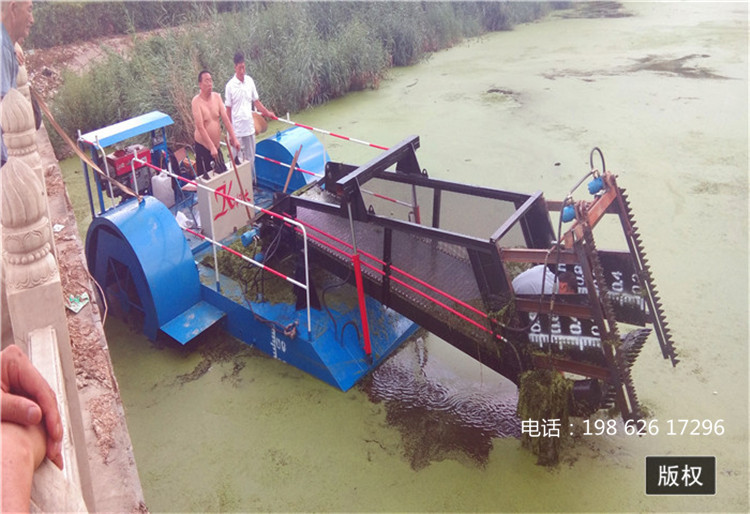 河北水面保洁船 水中收割芦苇机 水库清污船 景区保洁船