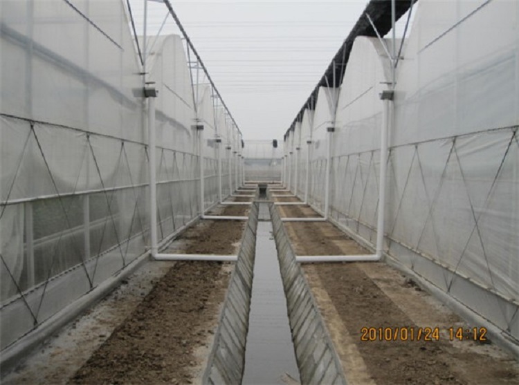 江苏薄膜温室承接 薄膜温室大棚建造商 金江