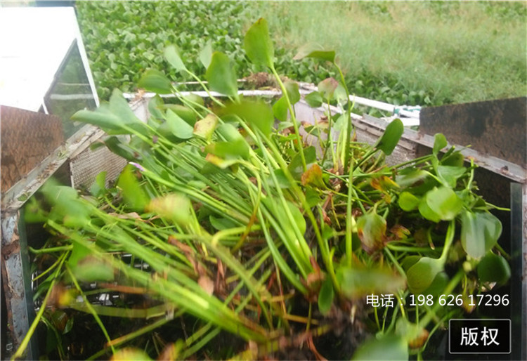 半自动保洁船 保洁船现货销售 建鼎小型水上碎草船