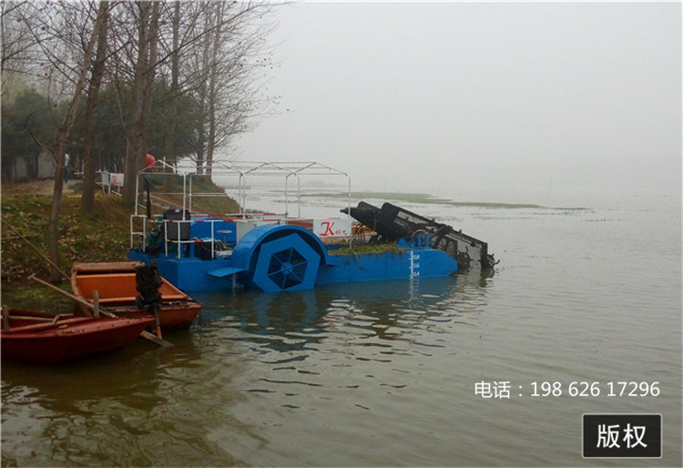 建鼎饶水葫芦保洁船 多功能粉碎船 河道治理