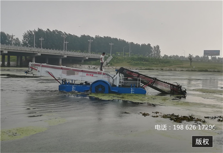 清理水草保洁船专卖 人工湖与水库专用保洁船 湖泊及航道治理