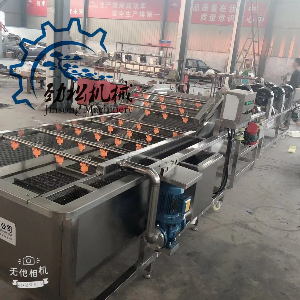 小型药材气泡喷淋清洗机  直销葡萄蓝莓荔枝气泡清洗风干机 价格