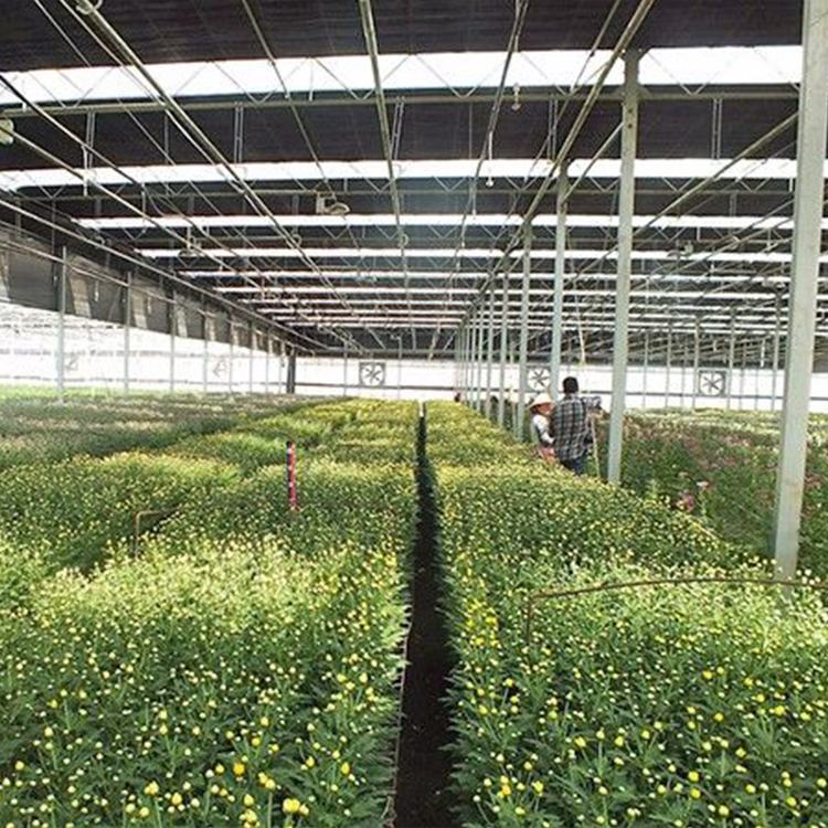 青州市恒丰温室工程有限公司 标志